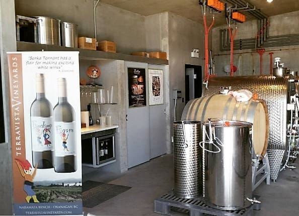 Terravista tasting room