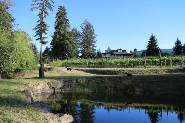 Millstone Winery