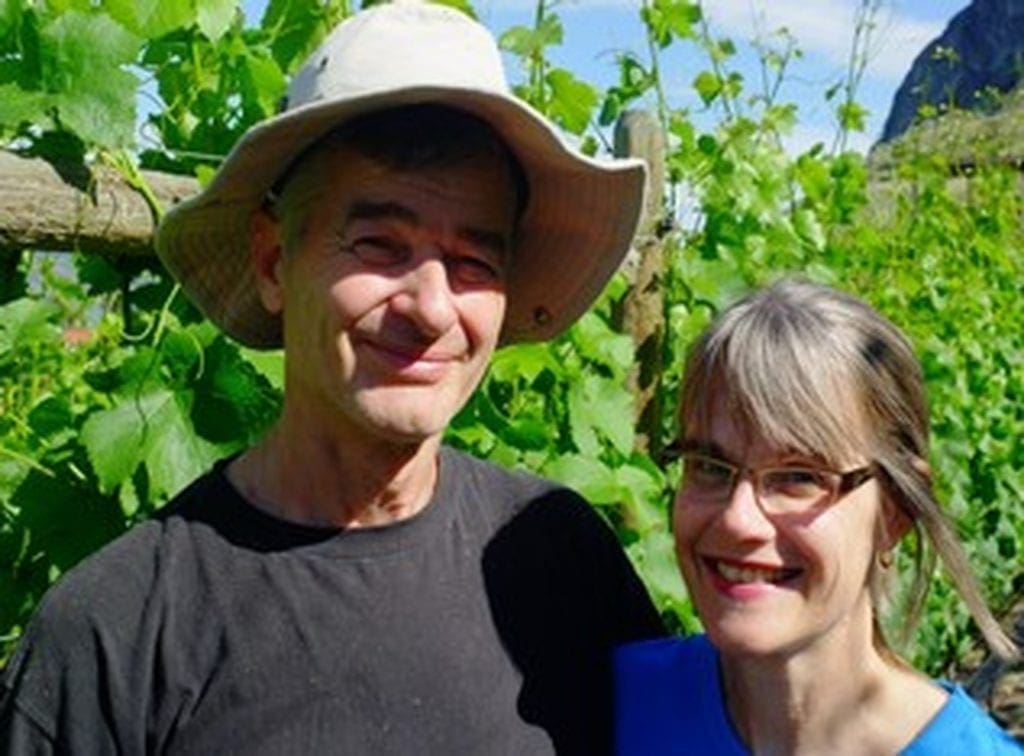 Savard Vines