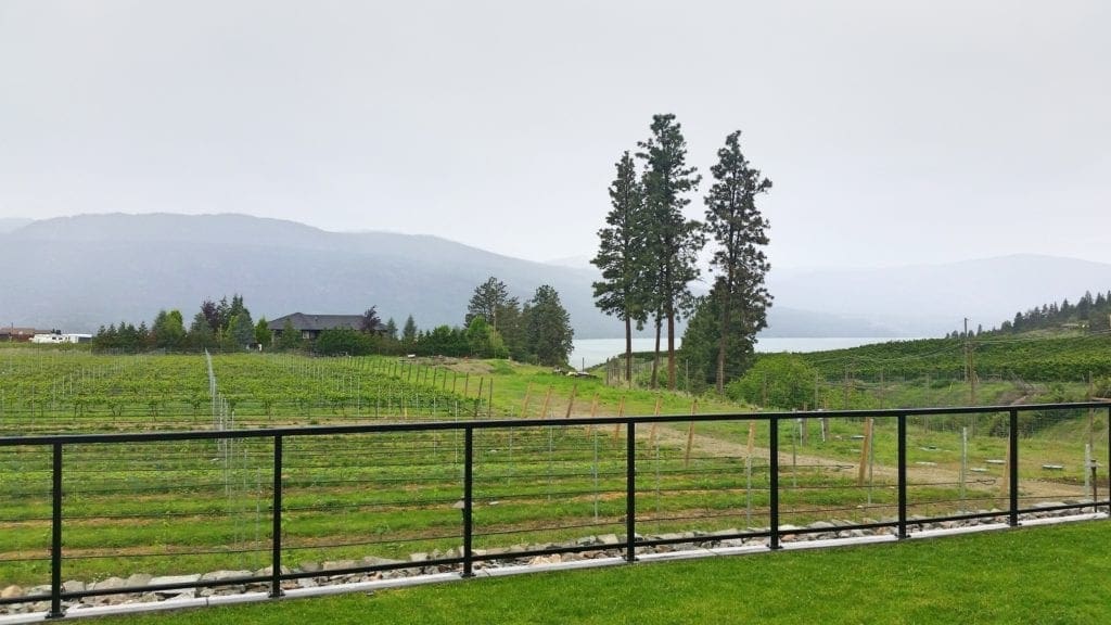 The Chase Wines