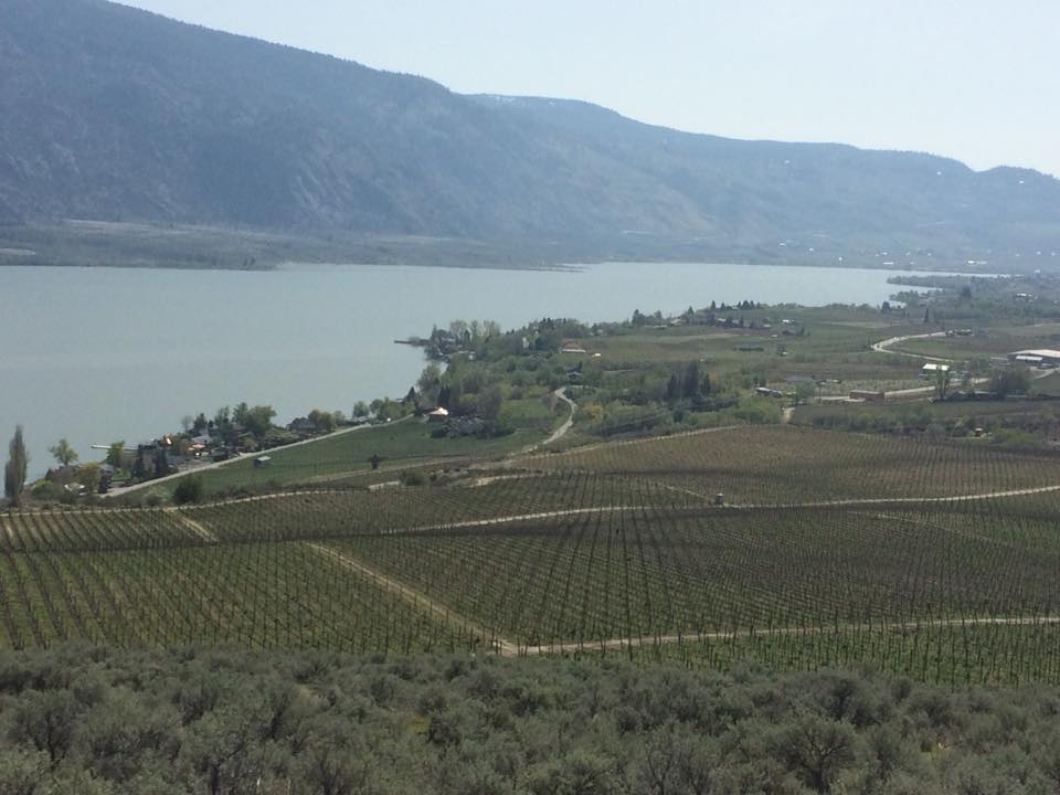 Osoyoos LaRose