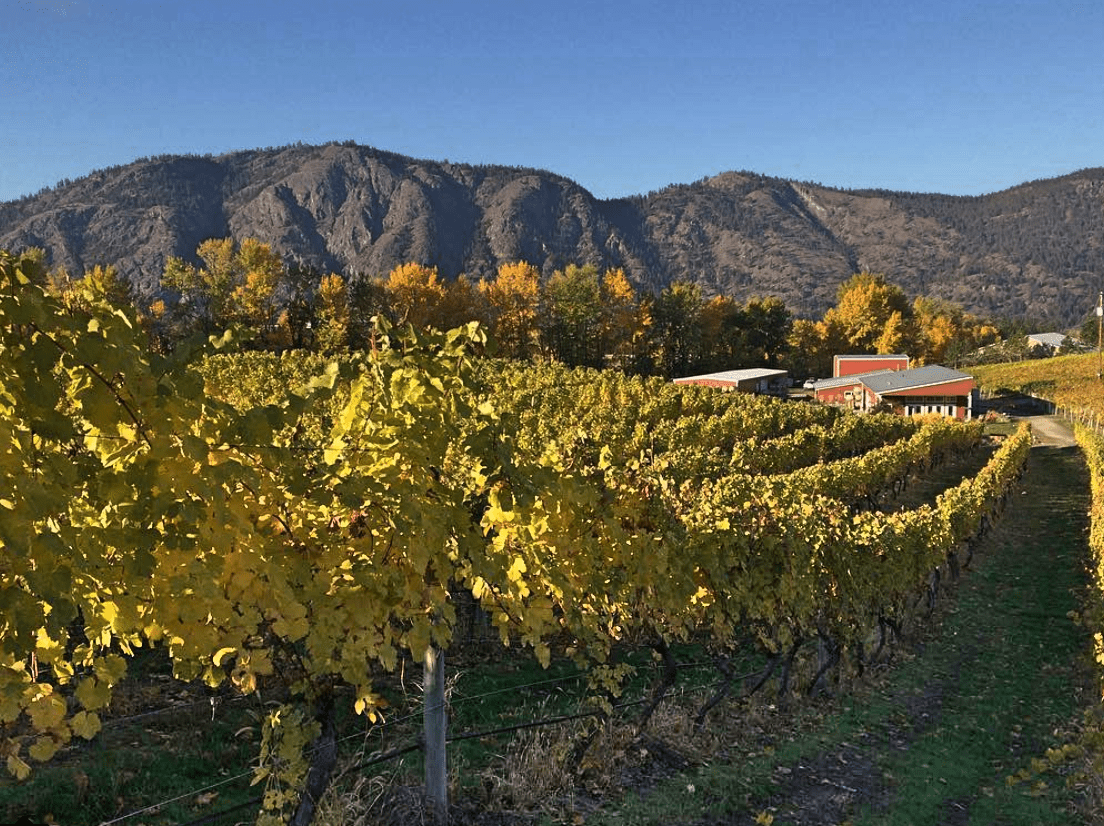 Meyer Family Vineyards