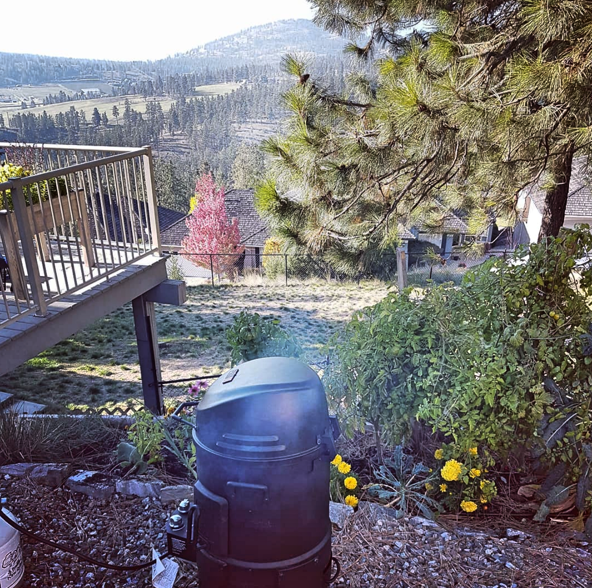 Ribs on the smoker