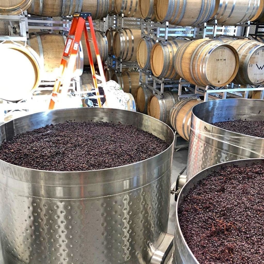 O'Rourke's Peak Cellars
