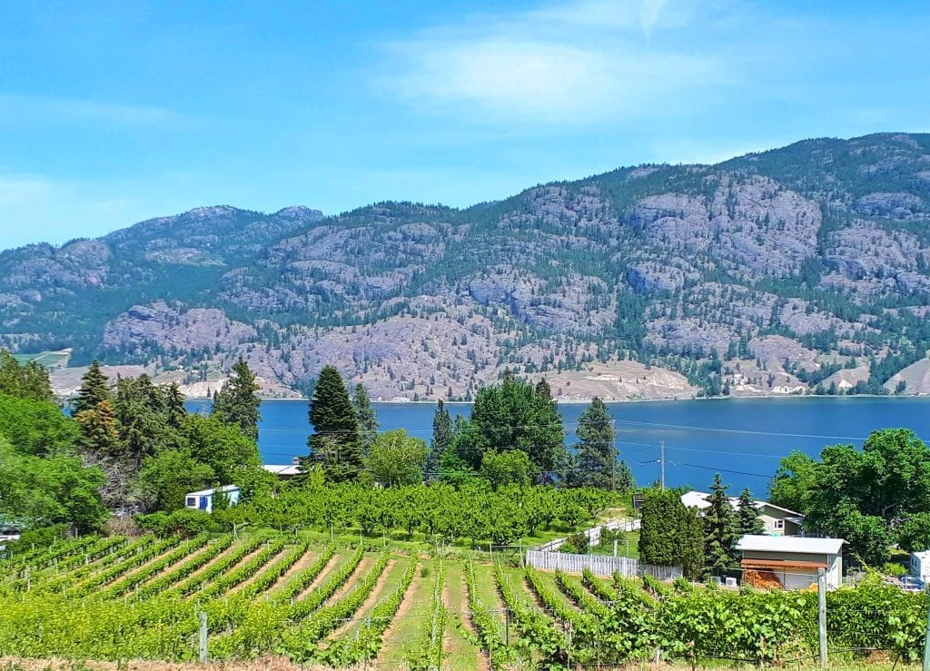 Black Market view of Skaha Lake