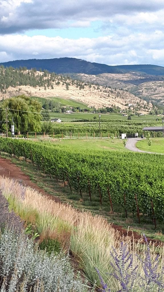 Poplar Grove Vineyard