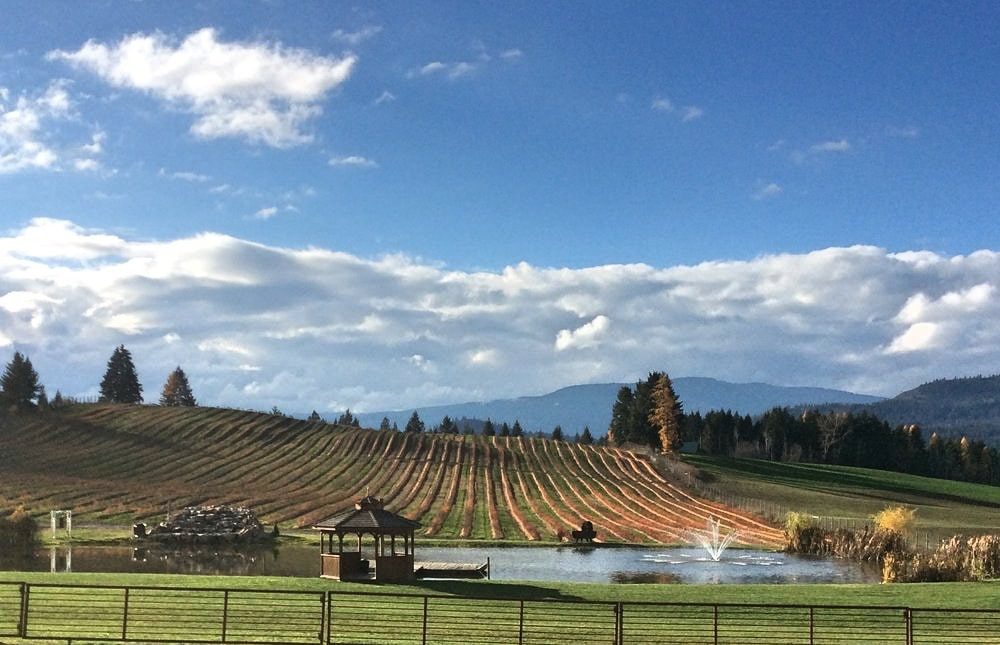 Baccata Ridge from the winery patio