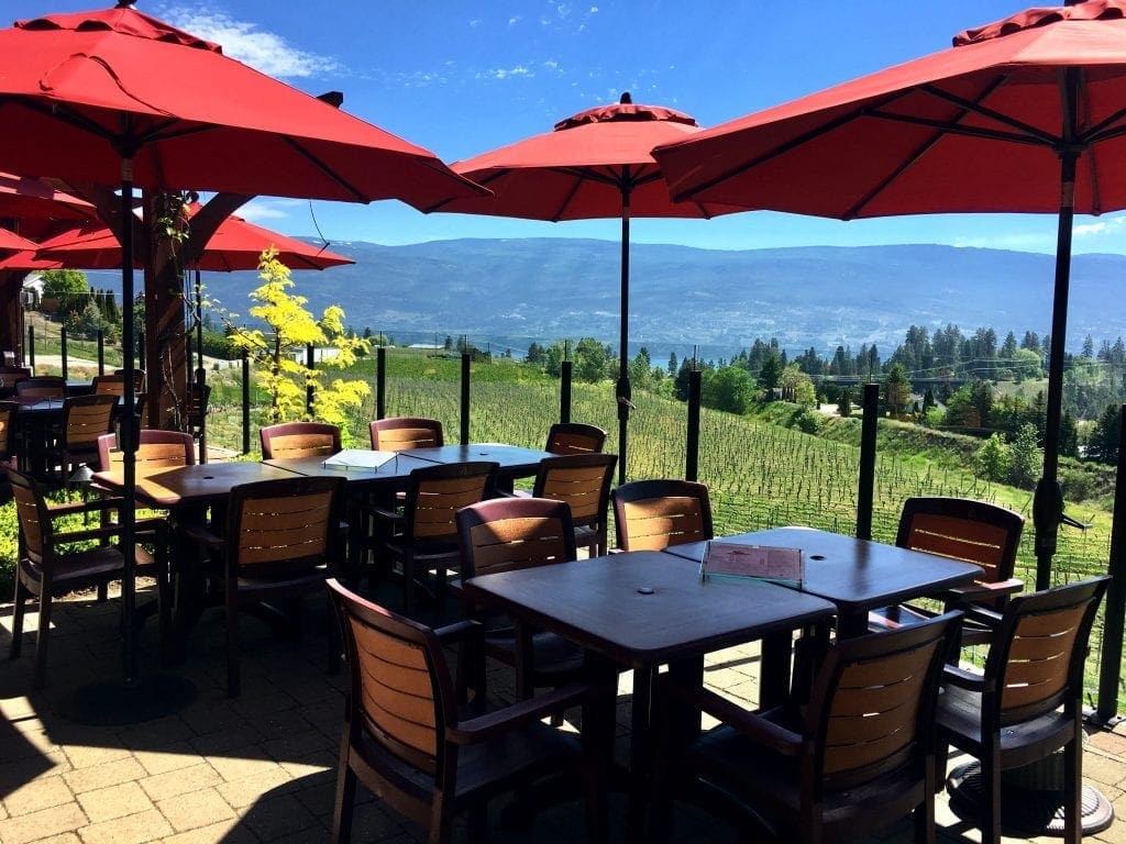Dirty Laundry Vineyard Patio View