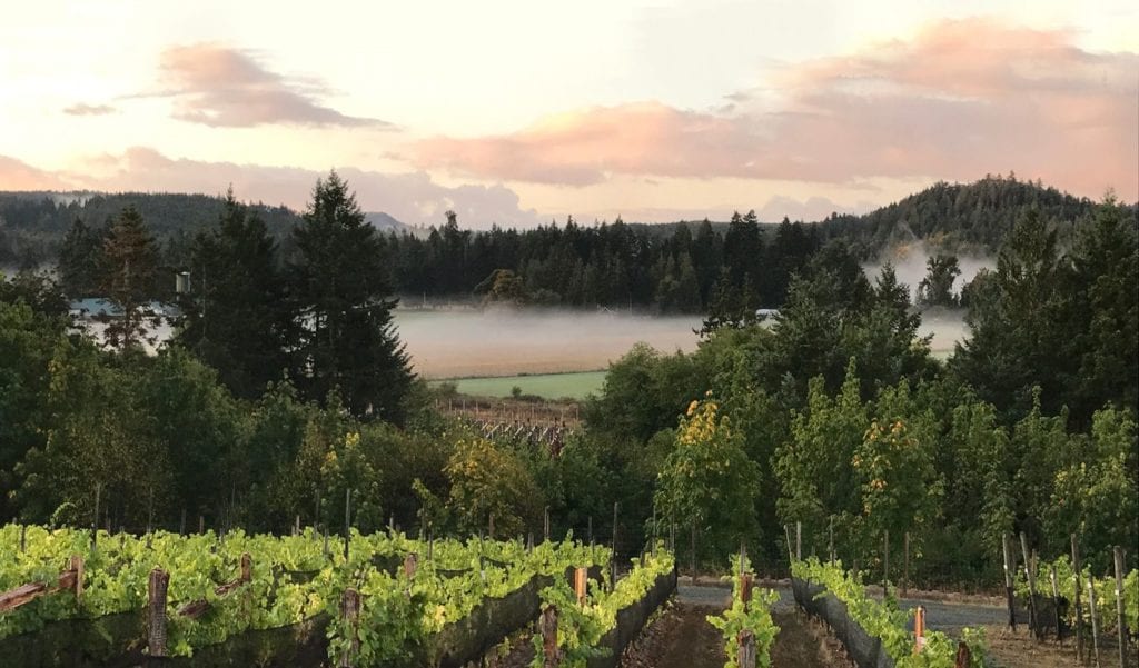 Blue grouse Vineyard