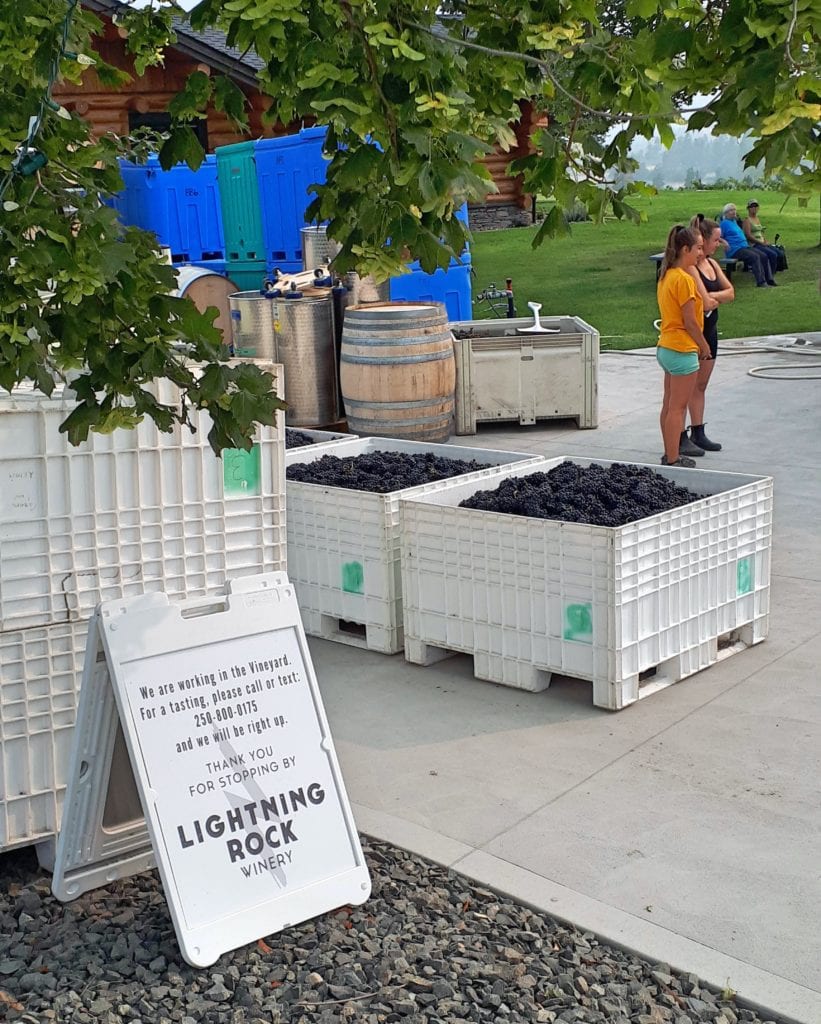 Lightning Rock Harvest 2020