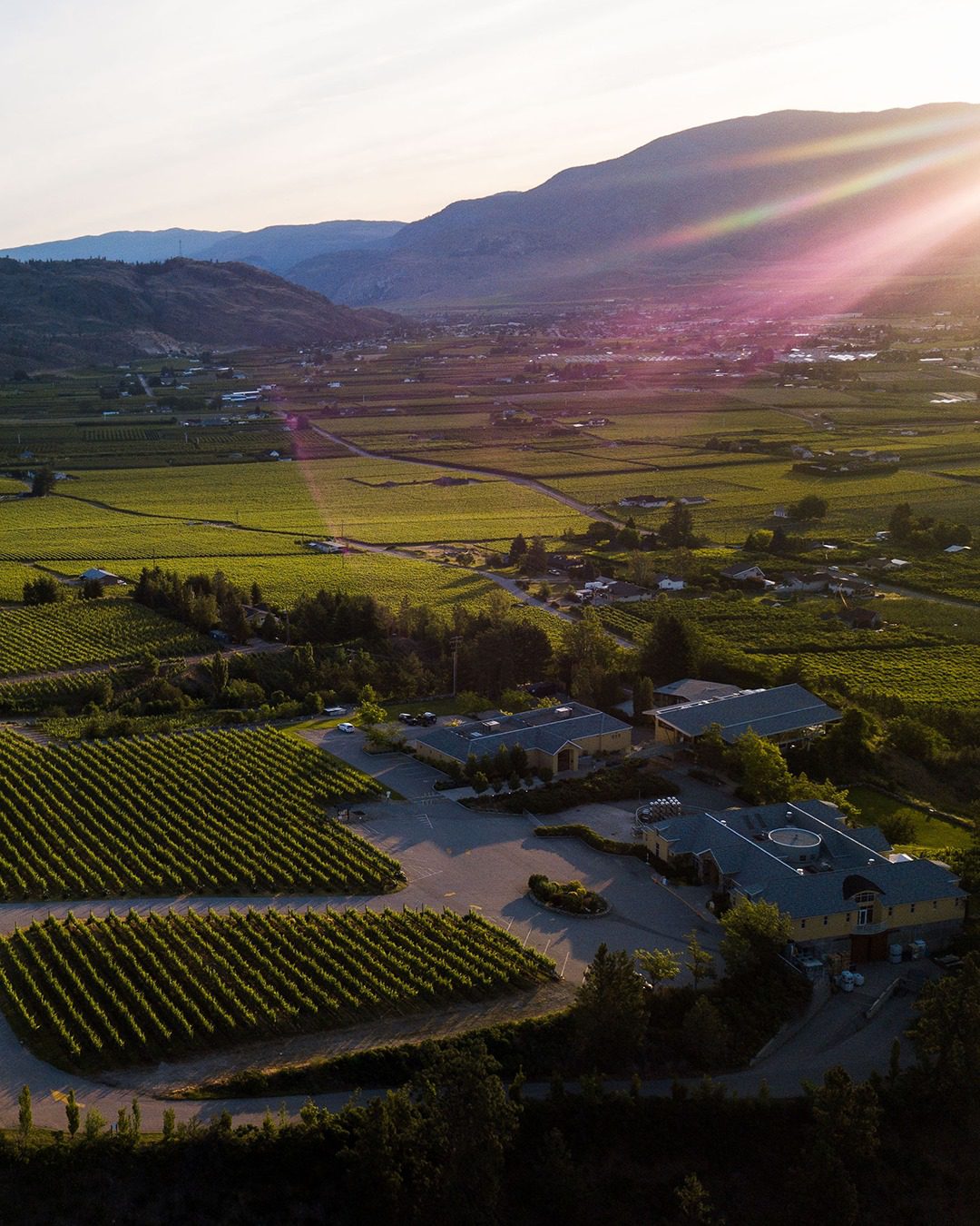 The Okanagan Valley's Tinhorn Creek Vineyards & Miradoro Restaurant