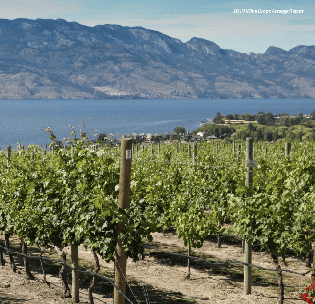 2019 BC Wine Grape Acreage Report
