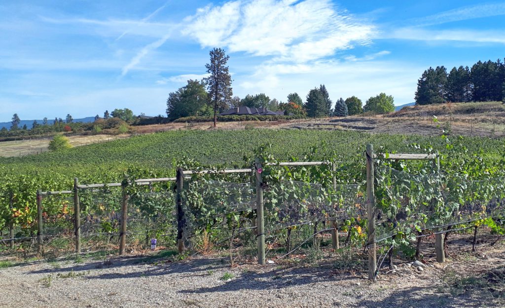 SpearHead Gentleman's Farmer Vineyard (GFV)