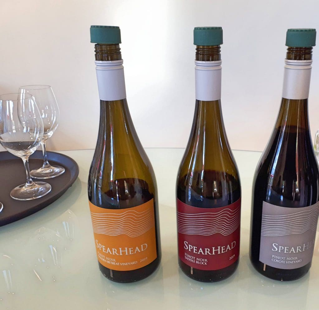 SpearHead 2019 Wines