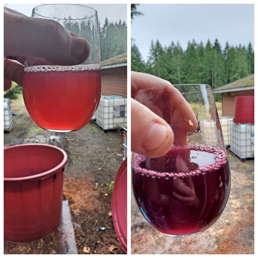 Rocky Creek Winery pressed juices