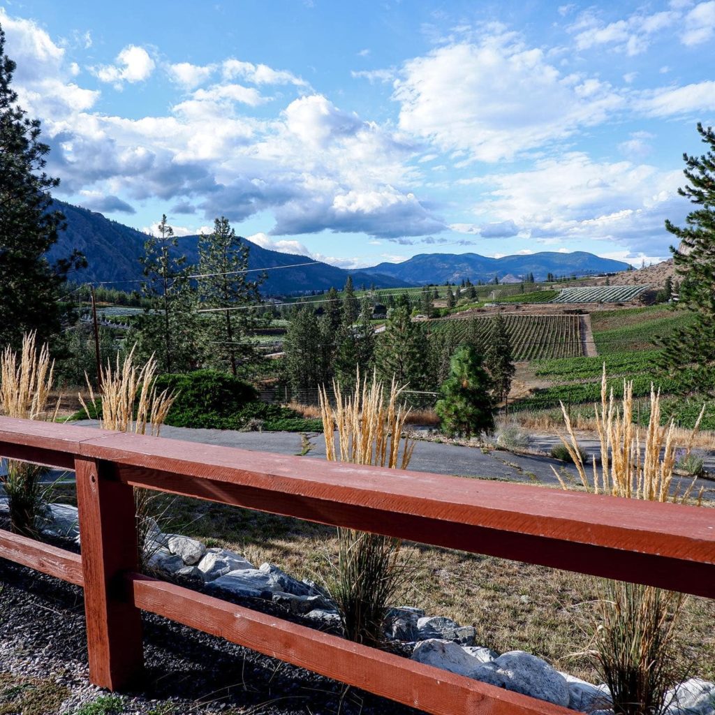 Bonamici Vineyard Okanagan Falls