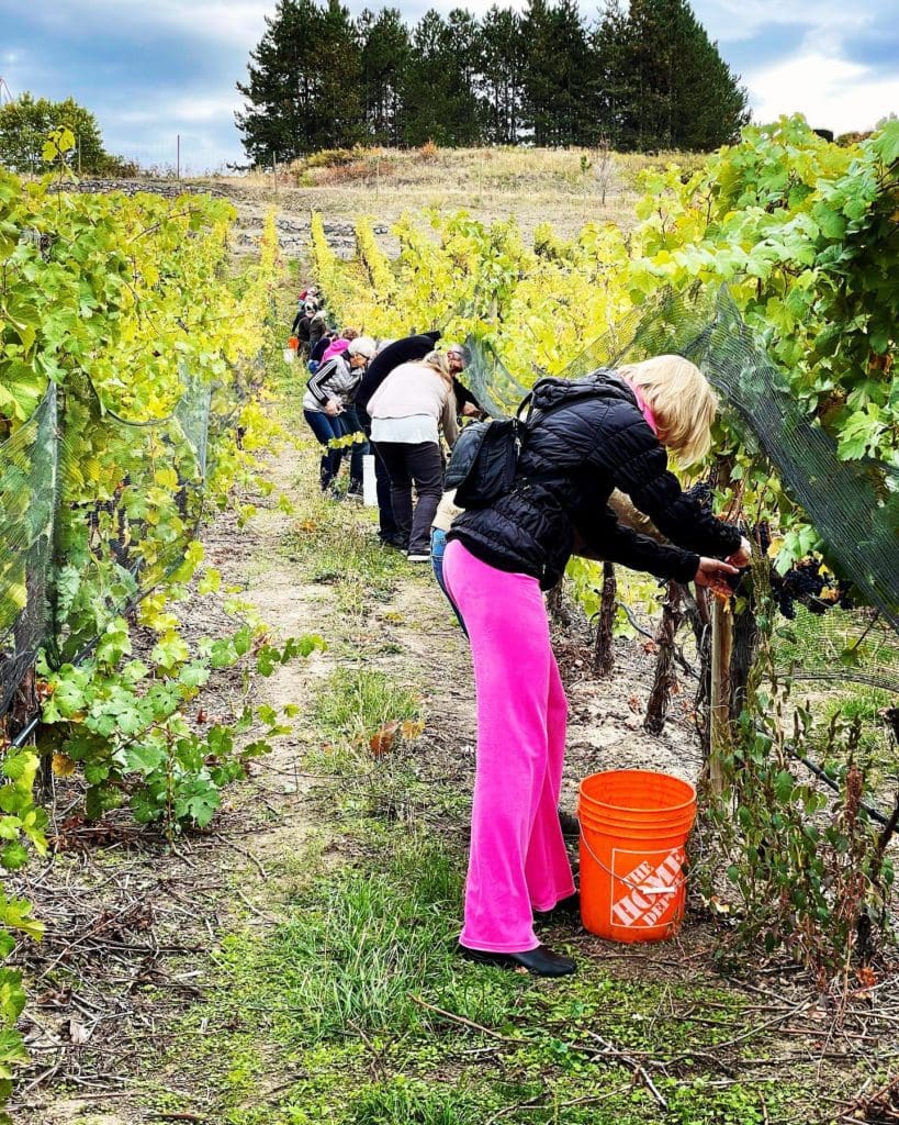 info@timewines.ca
