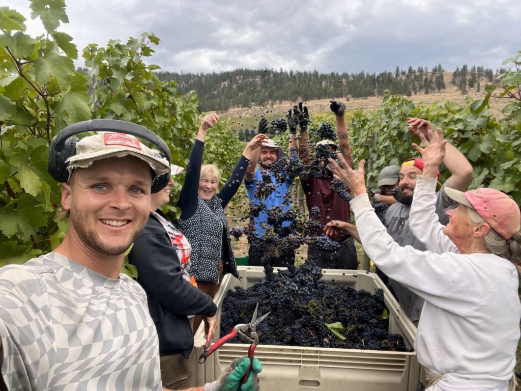 BC Harvest at Four Shadows