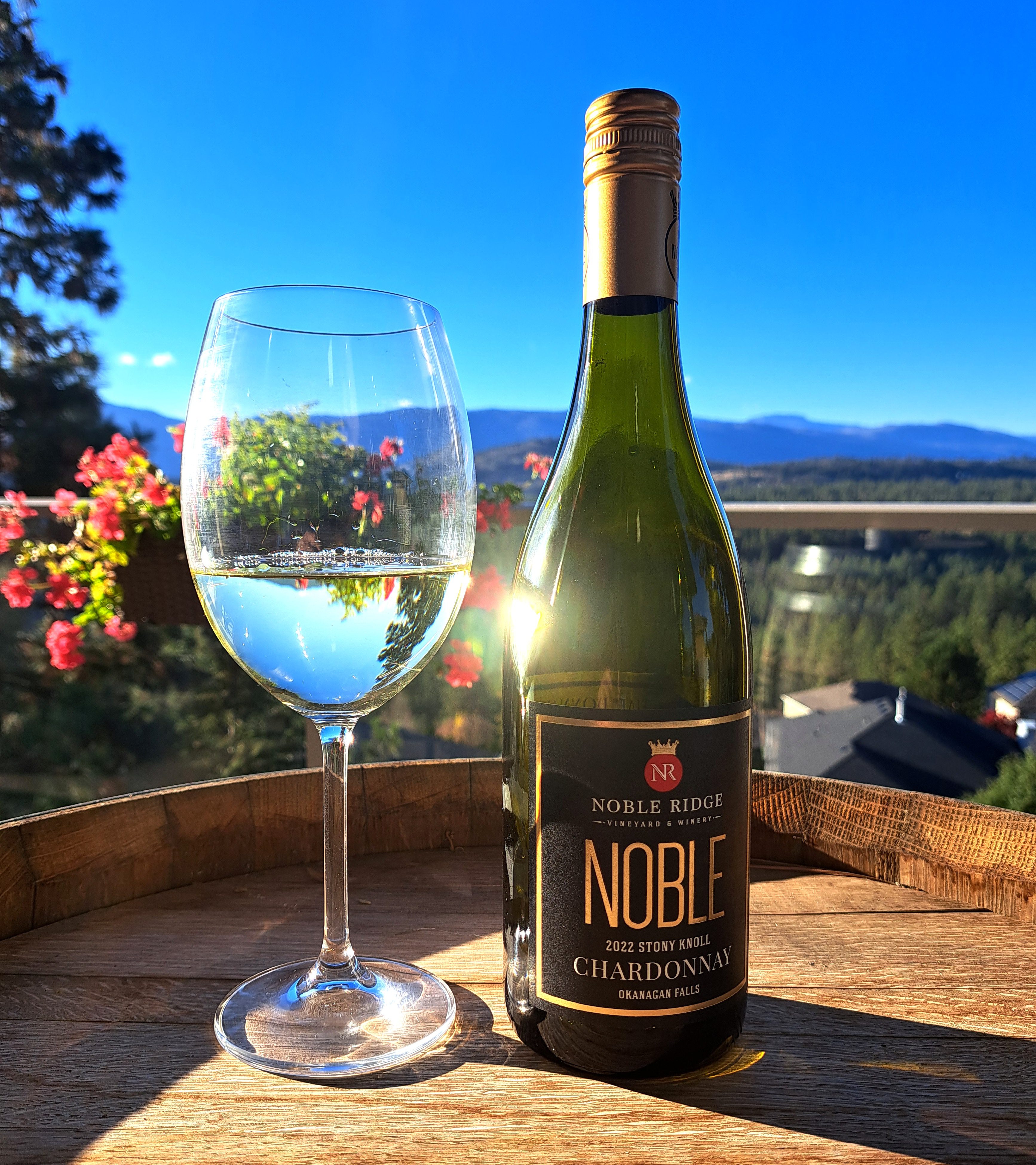 Noble Ridge Stony Knoll Chardonnay 2022 ($25.99)