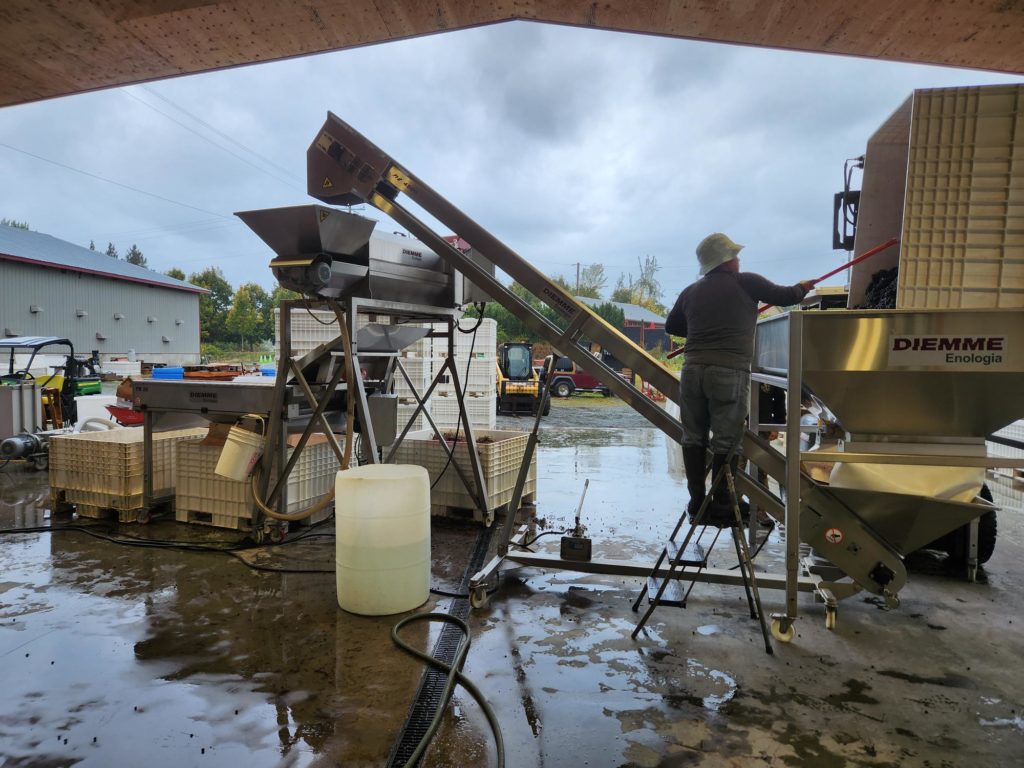 Singletree Winery - Production Hopper