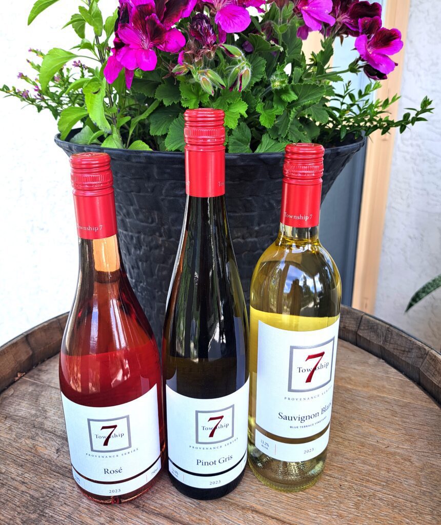 Township 7 2023 vintage wines