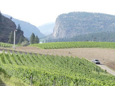 Blue Mountain vineyard near Okanagan Falls