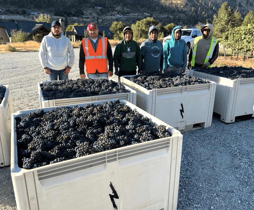 Lightning Rock Cab Franc