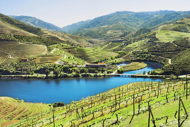 Douro Valley River Cruise