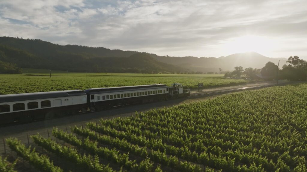 Napa Valley Wine train.