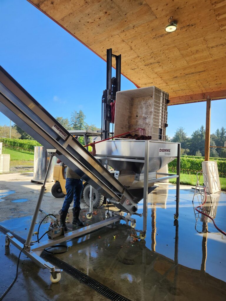 Singletree Winery at Harvest time.