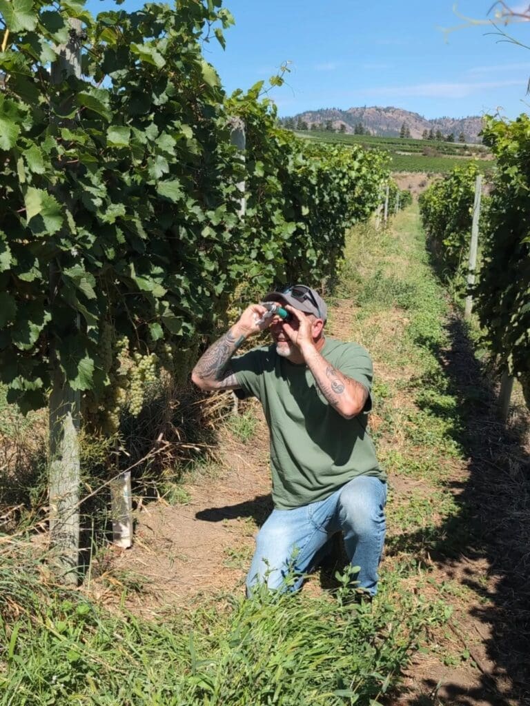 winemaker Mark Hopley is using a refractometer to check the sugar levels (Brix) in the grapes