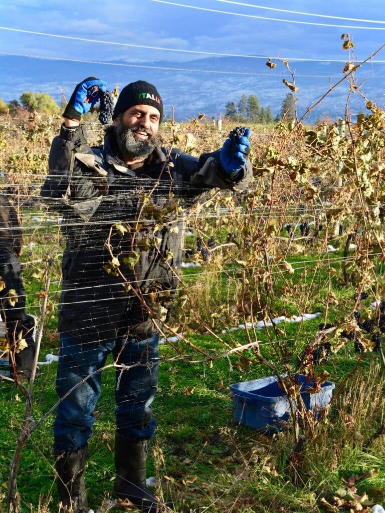 Ciao Bella Winery / Roberto Fiume