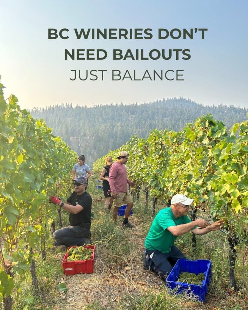 Lightning Rock Winery Summerland vineyard