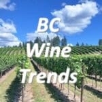 Julian Park / Wine Blogger🍷🥂🇨🇦